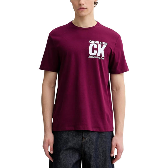 Calvin Klein Men T-Shirt