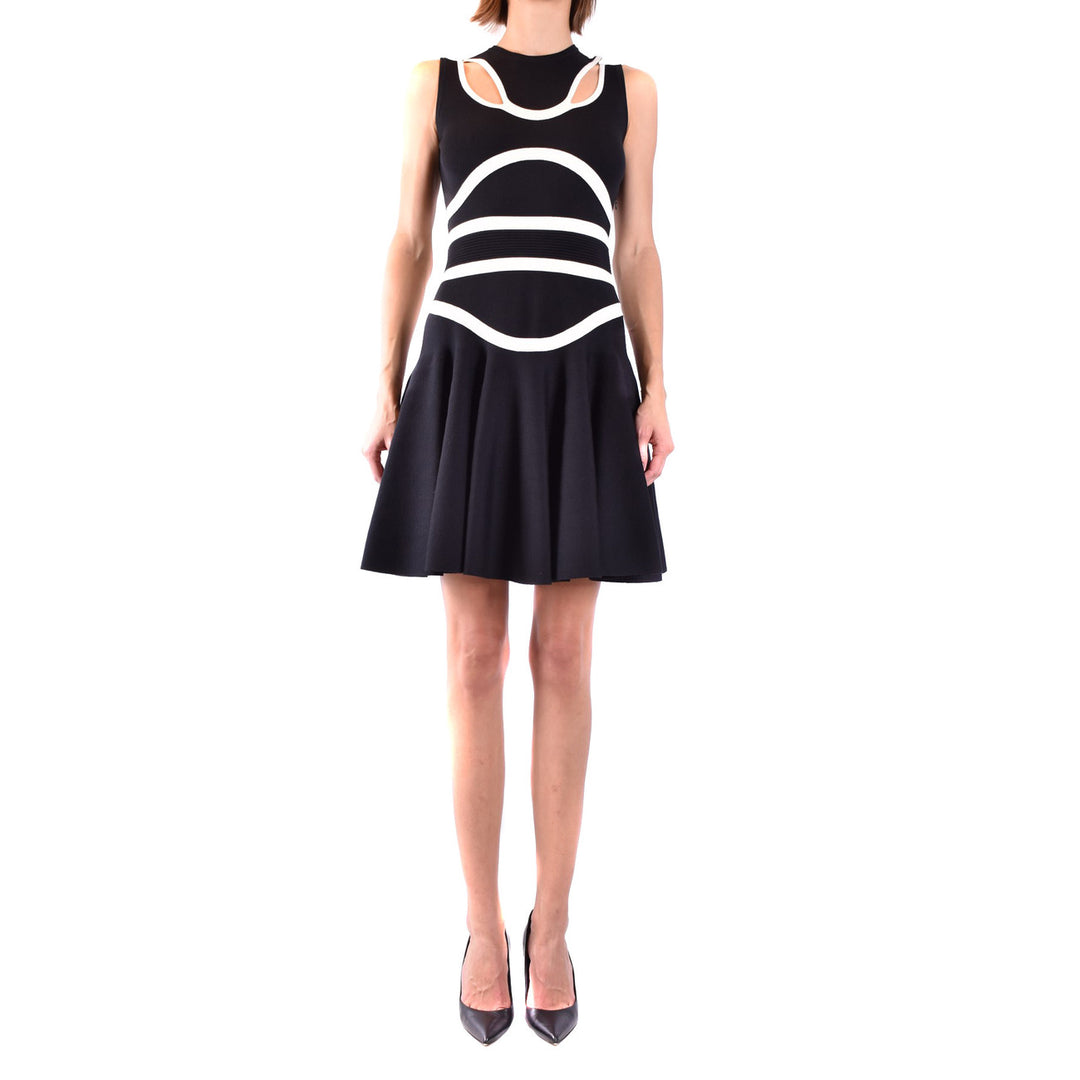 Alexander Mcqueen  Beautiful Dress