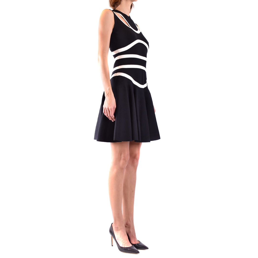 Alexander Mcqueen  Beautiful Dress