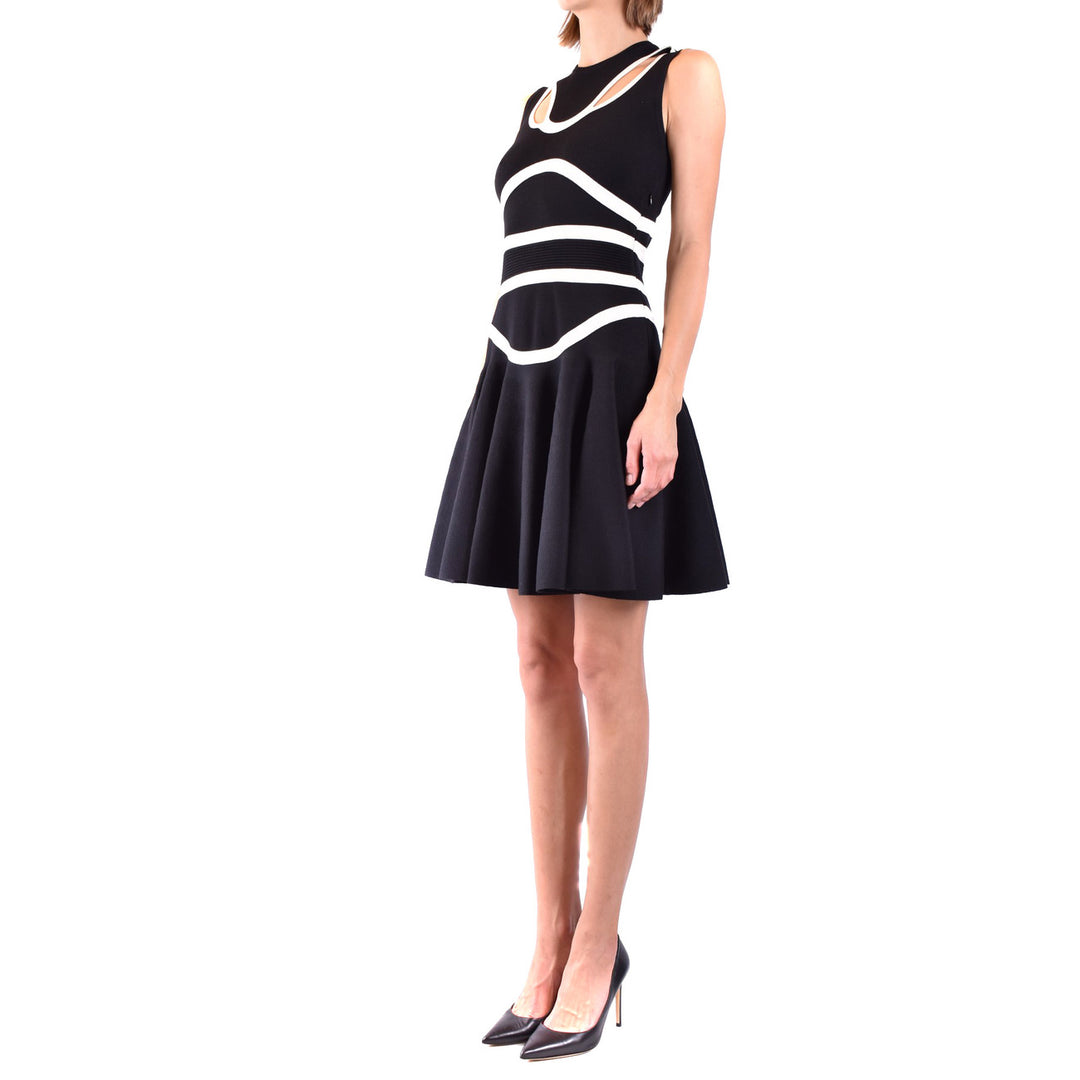 Alexander Mcqueen  Beautiful Dress